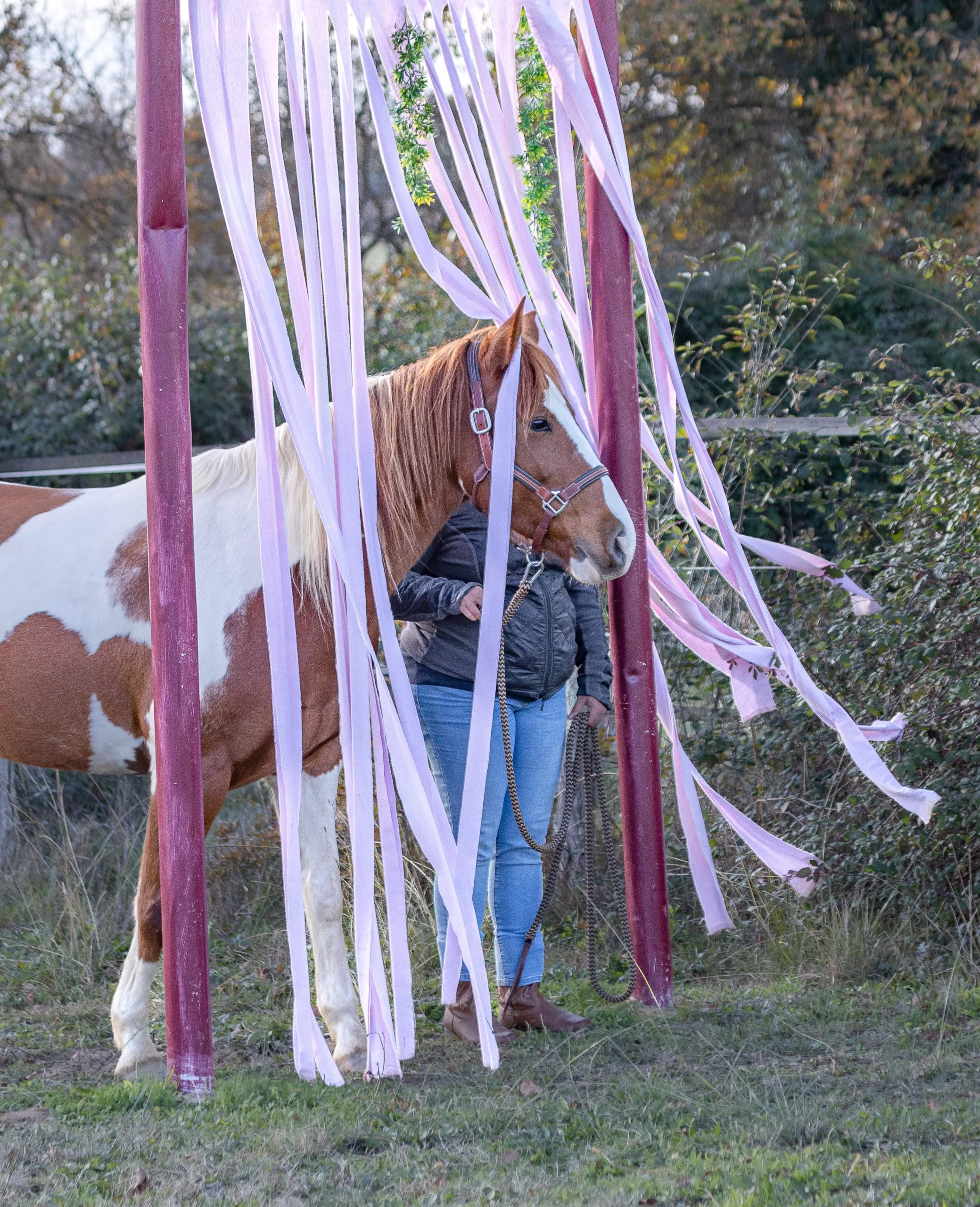 Etho'Lau - Vers l'harmonie humain cheval