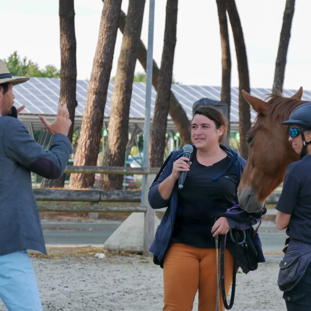 Exercice travail à pied cheval